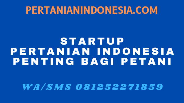 STARTUP PERTANIAN INDONESIA PENTING BAGI PETANI